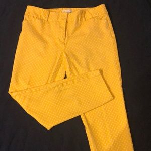 New York and Company capris